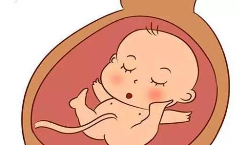 北京发现国内首例室内环境造成的胎儿畸形